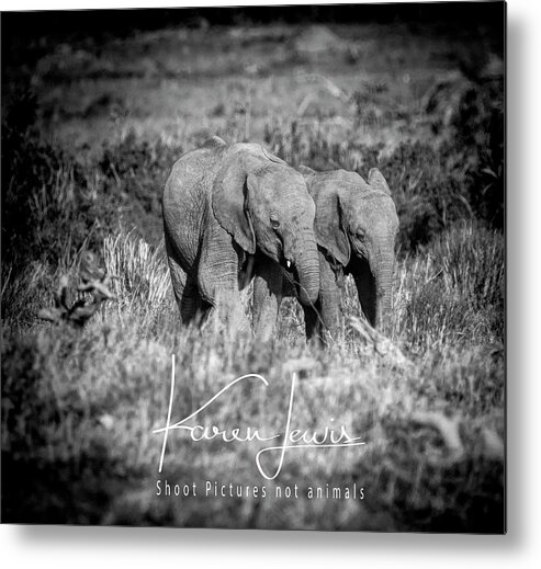 Masai Mara Metal Print featuring the photograph Elefriends by Karen Lewis