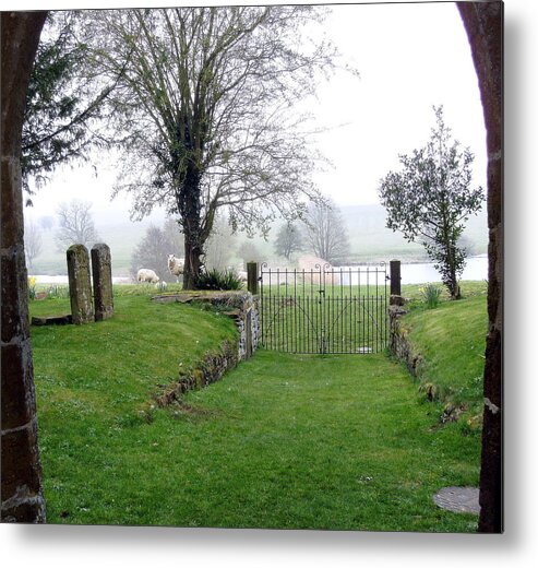 Sheep Metal Print featuring the photograph Enter through the Gates with Singing by Mindy Newman