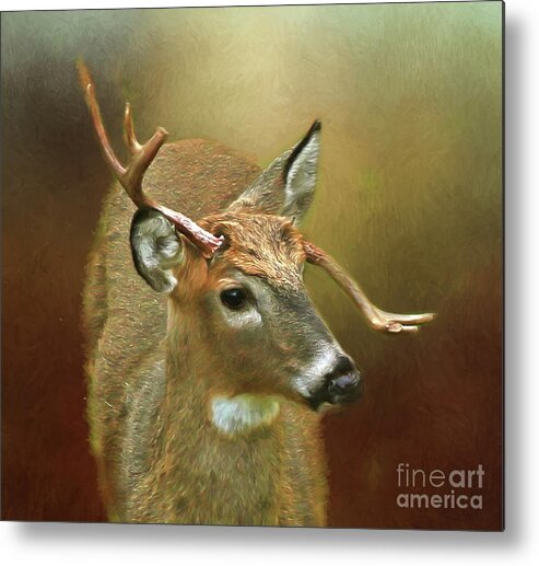 Buck Metal Print featuring the photograph Every Which Way But ... by Clare VanderVeen