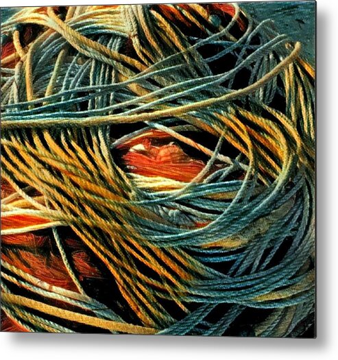 Fishing Rose Metal Print featuring the photograph Fishing Rope by Colette V Hera Guggenheim