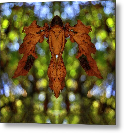 Insect Metal Print featuring the digital art Flying Phyllium by Pelo Blanco Photo