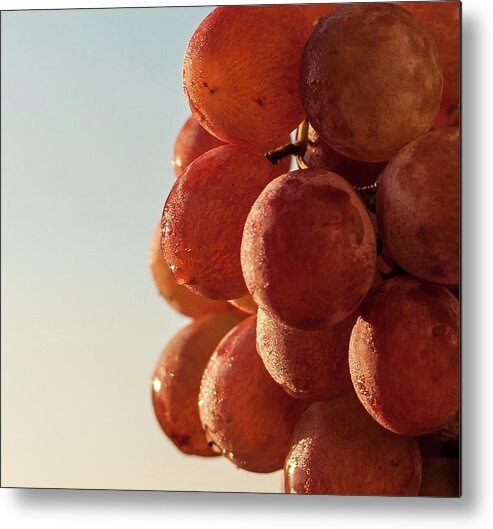 Grapes Cluster Metal Print featuring the photograph Grapes cluster by Sergey Simanovsky