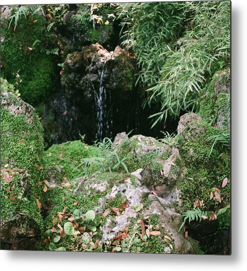 Nature Metal Print featuring the photograph Hidden Waterfall by Dean Triolo