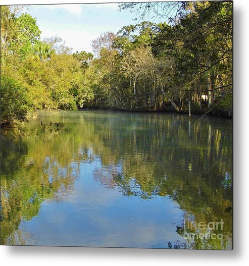 River Metal Print featuring the photograph Homosassa River by D Hackett