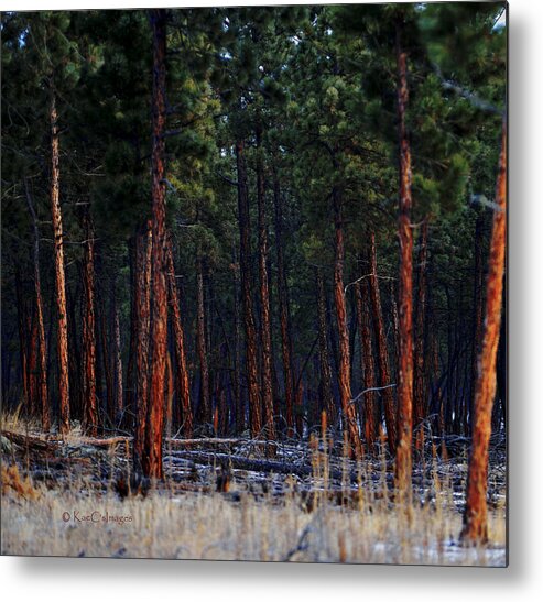 Landscape Metal Print featuring the digital art Into the Woods by Kae Cheatham