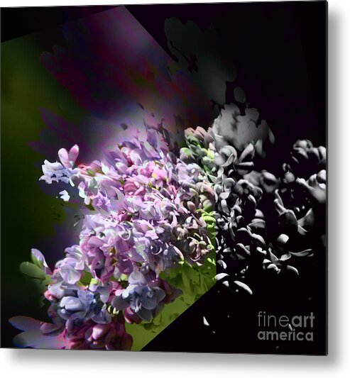Lilac Metal Print featuring the photograph Lilac by Elaine Hunter