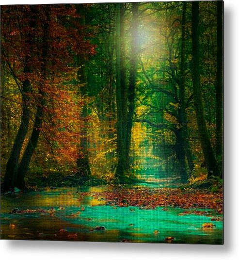 Magical Metal Print featuring the digital art Magical Forest by Digital Art Cafe
