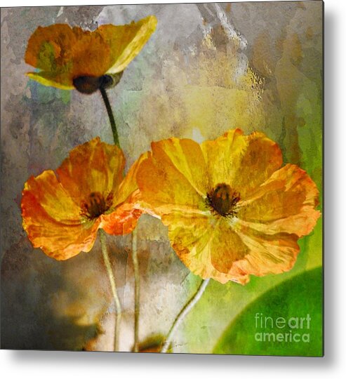 Poppies Metal Print featuring the photograph Modern Poppy by Sandra Peery