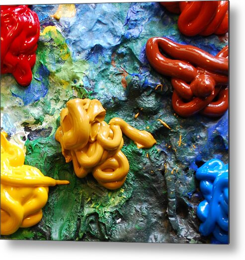 Palette Metal Print featuring the photograph My Colorful Palette by Nancy Mueller