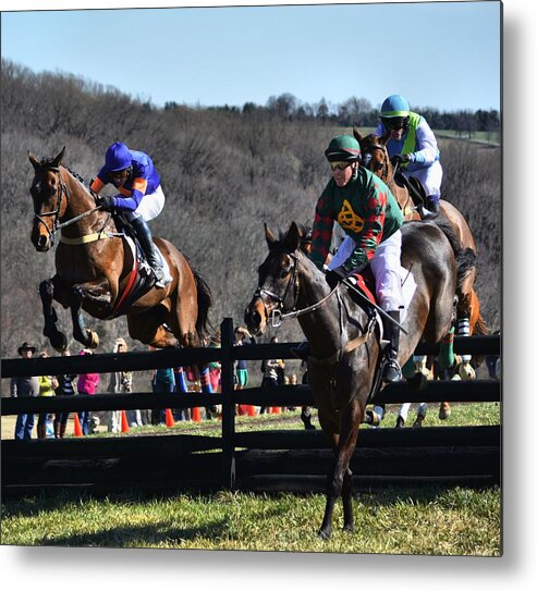 Horse Racing Metal Print featuring the photograph My Lady's Manor 10 by Robert McCubbin