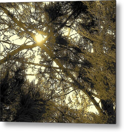 Abstract Metal Print featuring the photograph Nature in the Crosshairs by Lenore Senior