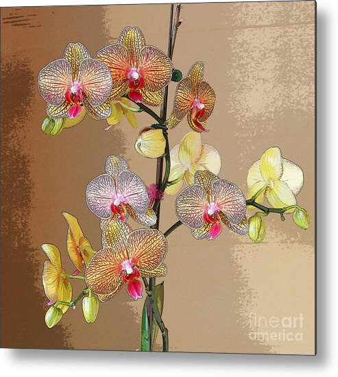 Orchid Metal Print featuring the photograph Orchid Love by Jeanette French