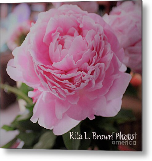 Peony Metal Print featuring the photograph Peony Pink Petals by Rita Brown