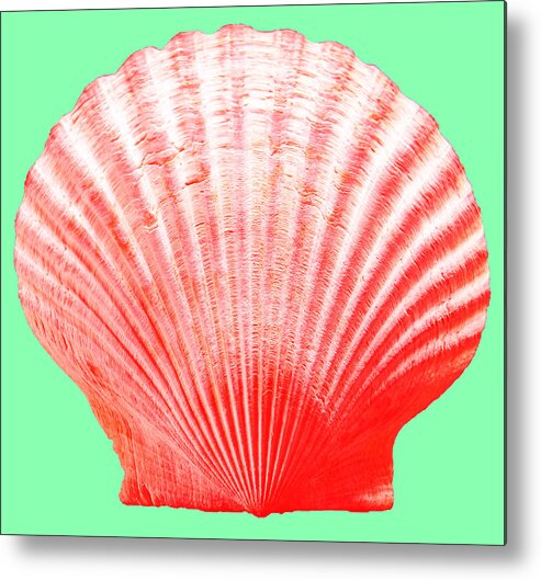 Sea Metal Print featuring the photograph Red Shell on Green by WAZgriffin Digital