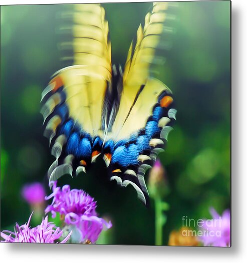Butterfly Metal Print featuring the photograph Relish Small Pleasures by Kerri Farley