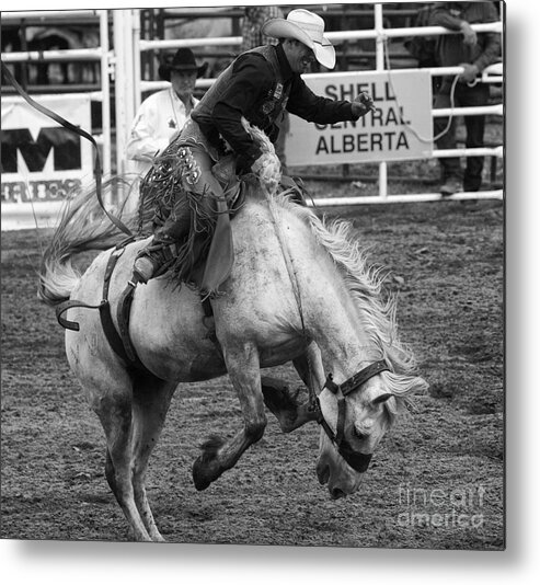 Cowboy Metal Print featuring the photograph Rodeo Saddleback Riding 3 by Bob Christopher