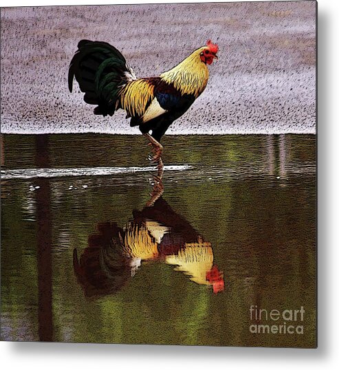 Rooster Metal Print featuring the photograph Rooster's Reflection by Craig Wood