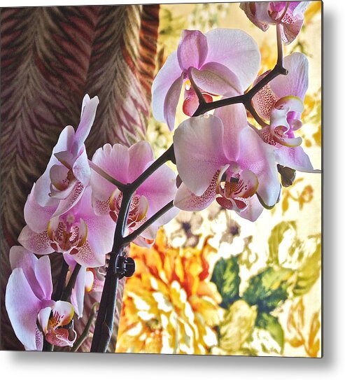 Orchids Metal Print featuring the photograph Rose Cottage Orchid by Janis Senungetuk