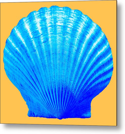 Sea Metal Print featuring the photograph Sea Shell blue and gold by WAZgriffin Digital