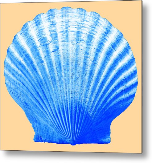 Sea Metal Print featuring the photograph Sea Shell -Blue on Sand by WAZgriffin Digital