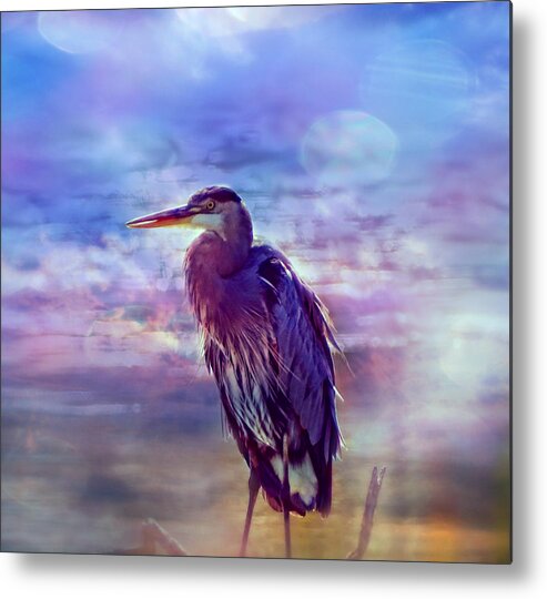 Egret Metal Print featuring the photograph Serious Bird by Lilia S