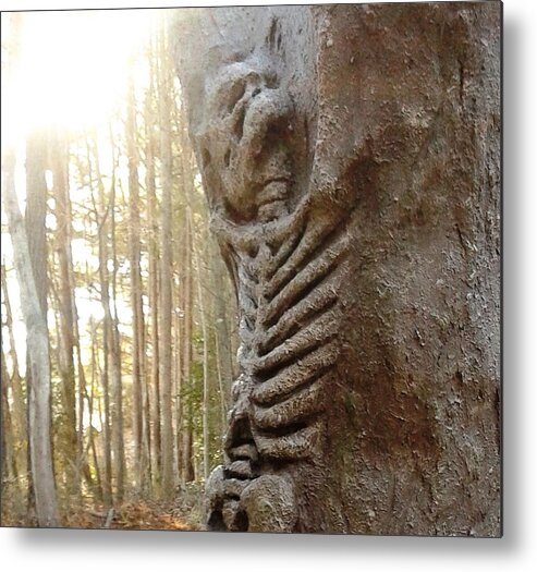 Skeleton Metal Print featuring the photograph Skeleton Tree by Emily Page