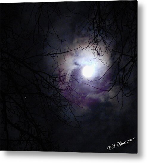 Earth's Natural Satellite Metal Print featuring the photograph Swirling Around by Wild Thing