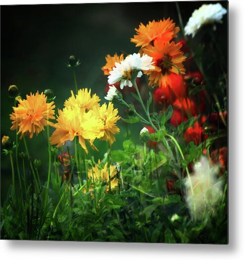Flowers Metal Print featuring the photograph The Last Of The Autumn Flowers by Jeff Townsend