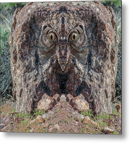 Rock Metal Print featuring the digital art Troll 3 by Rick Mosher