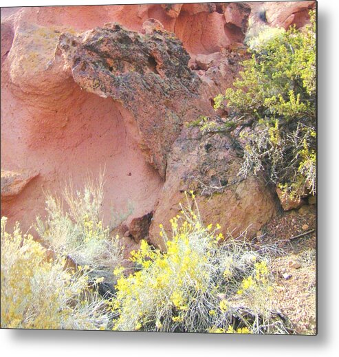 Rock Metal Print featuring the photograph Volcanic Garden by Marilyn Diaz