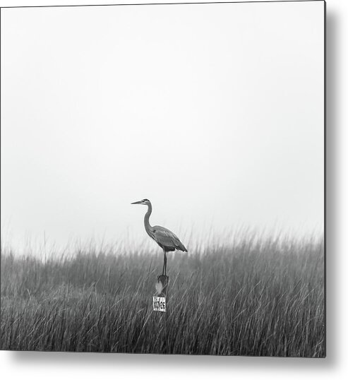 Charleston Metal Print featuring the photograph Waiting on the Fog to Clear by Donnie Whitaker