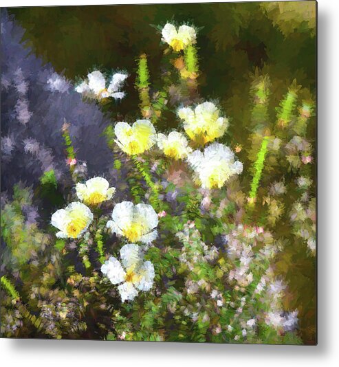 Linda Brody Metal Print featuring the digital art White and Yellow Poppies Abstract 2  by Linda Brody