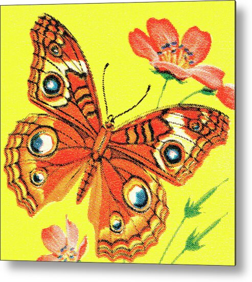 Animal Metal Print featuring the drawing Butterfly #8 by CSA Images