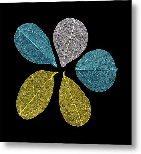 Leaves Metal Print featuring the photograph A Gathering Of Colorful Leaves by Gary Slawsky
