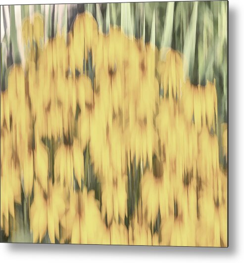 Sunflowers Metal Print featuring the photograph Abstract Rudbeckia 2018-2 by Thomas Young