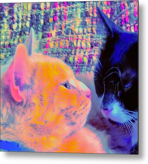 Pets Metal Print featuring the photograph Boys in Pastels by Debra Grace Addison