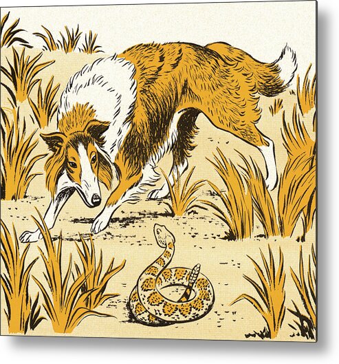 Animal Metal Poster featuring the drawing Collie Dog and Snake by CSA Images