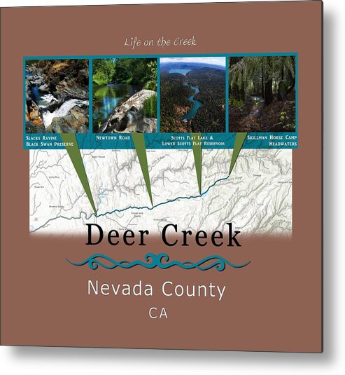 Deer Creek Metal Print featuring the digital art Deer Creek Series Views by Lisa Redfern