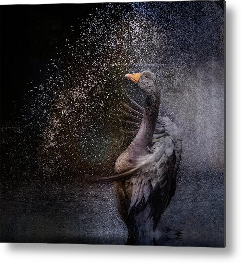 Bird Metal Print featuring the photograph I'm The Best ... by Anna Cseresnjes