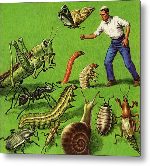 Adult Metal Poster featuring the drawing Man and Giants Bugs by CSA Images