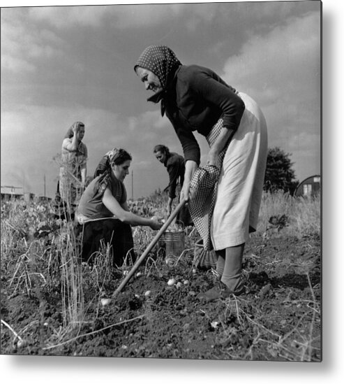 Working Metal Print featuring the photograph Polish Workers by Bert Hardy