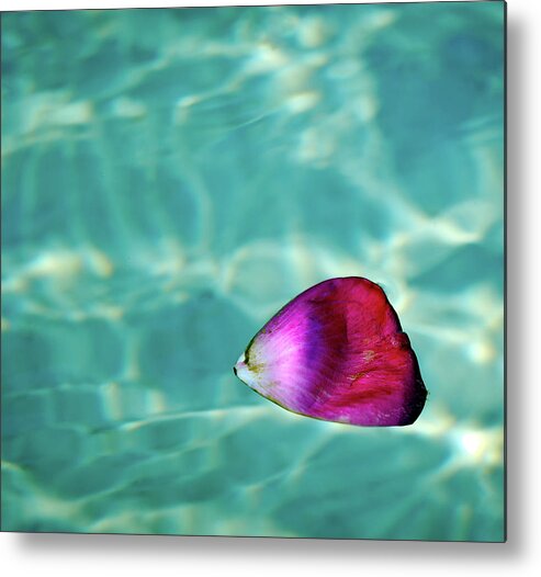 Tranquility Metal Print featuring the photograph Rose Petal Floating On Water by Gerard Plauche