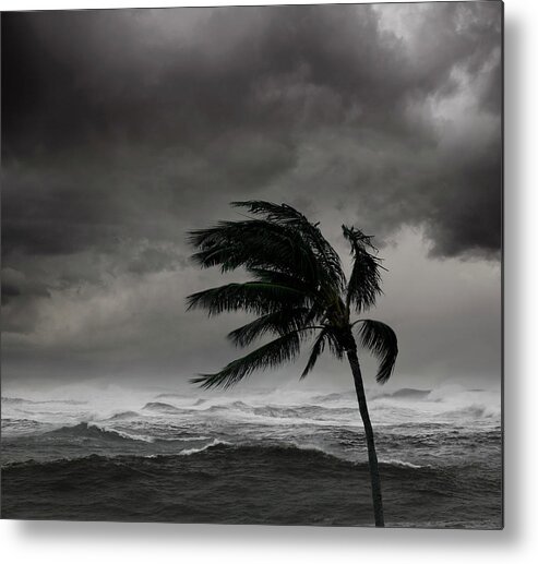 Wind Metal Print featuring the photograph Storm Over Tropical Sea by John M Lund Photography Inc