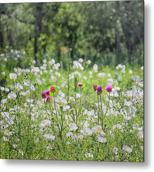 Wild Flowers Metal Print featuring the photograph The Flower Field by Jolynn Reed