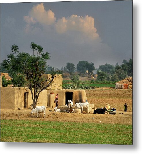 Grass Metal Print featuring the photograph The Village Of Punjab by Nadeem Khawar