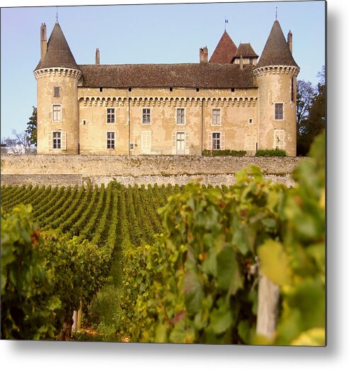 Pinot Noir Grape Metal Print featuring the photograph Wine And Castle by Ngataringa