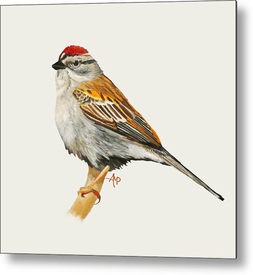 Chipping Sparrow Metal Print featuring the painting Chipping Sparrow #1 by Angeles M Pomata