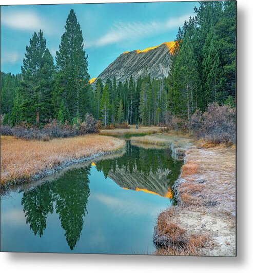 Tim Fitzharris Metal Print featuring the photograph Rock Creek Inyo National Forest, California, USA #1 by Tim Fitzharris