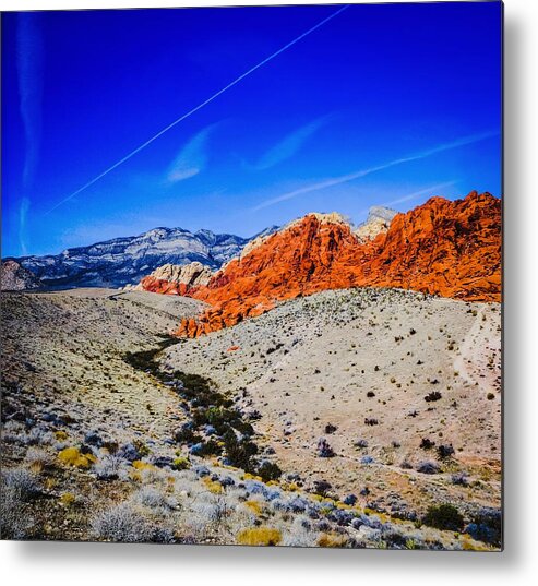  Metal Print featuring the photograph Alien Scape 2 by Rodney Lee Williams