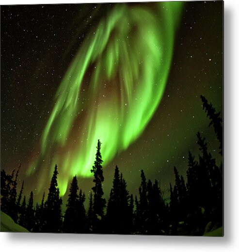Blachford Lake Lodge Metal Print featuring the photograph Aurora Artistry by Phil Marty